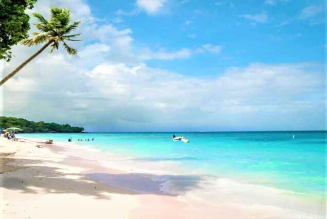 Playa Blanca, white sand, clear water in panama with LDS Global Adventures