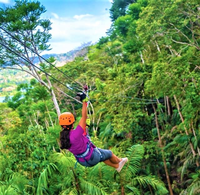 A visitor riding a zipline above the green forest canopy